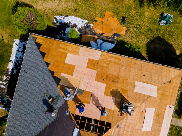 Best Storm Damage Roof Repair  in Clovis, NM