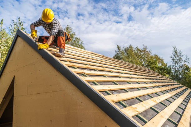 Roof Gutter Cleaning in Clovis, NM